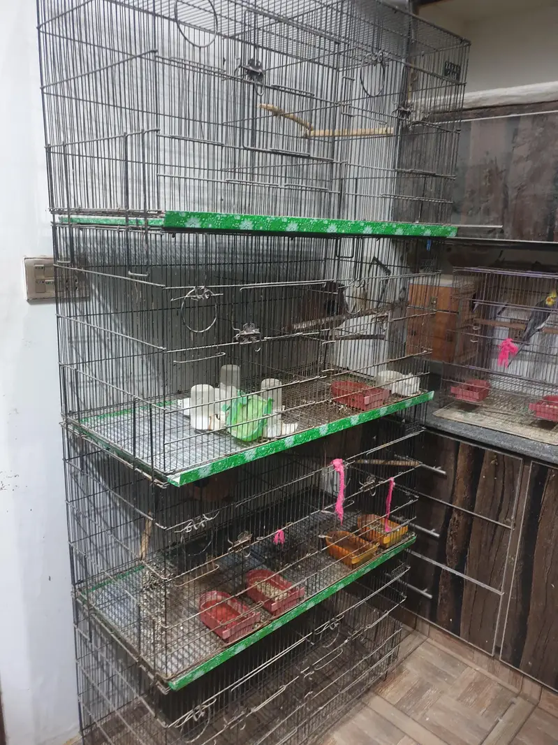 setup for sale — photo 2