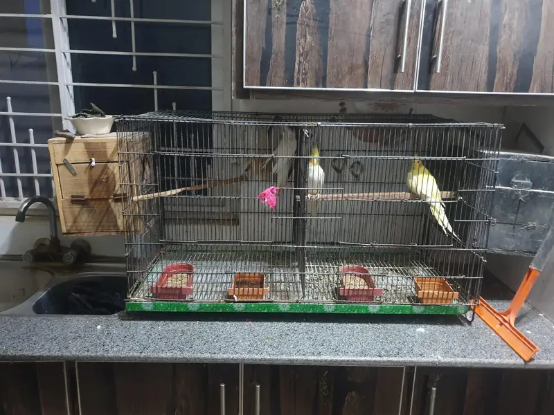setup for sale — photo 3