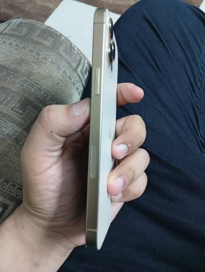 Apple iPhone 12 Pro Max pta approved