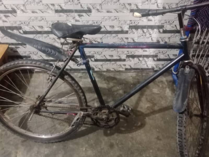 bicycle 0