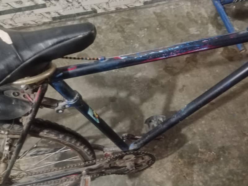 bicycle 2