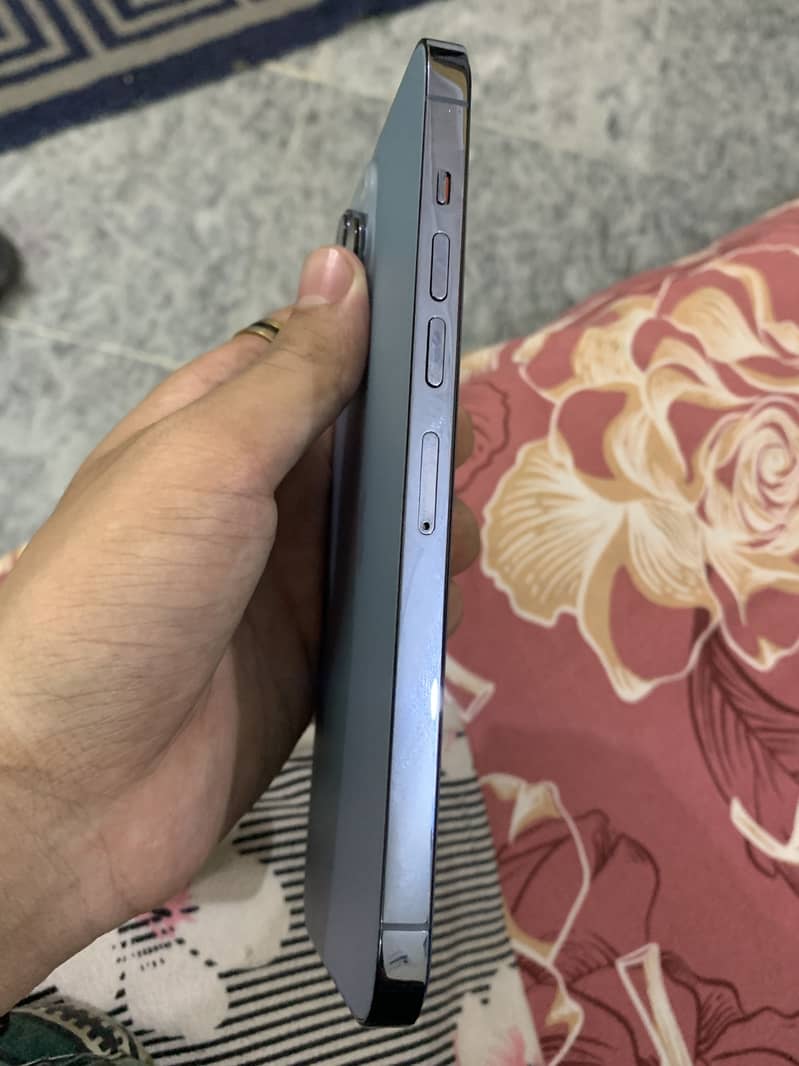 Apple iPhone 13 Pro Max 1