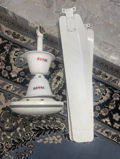 Royal ceiling fan