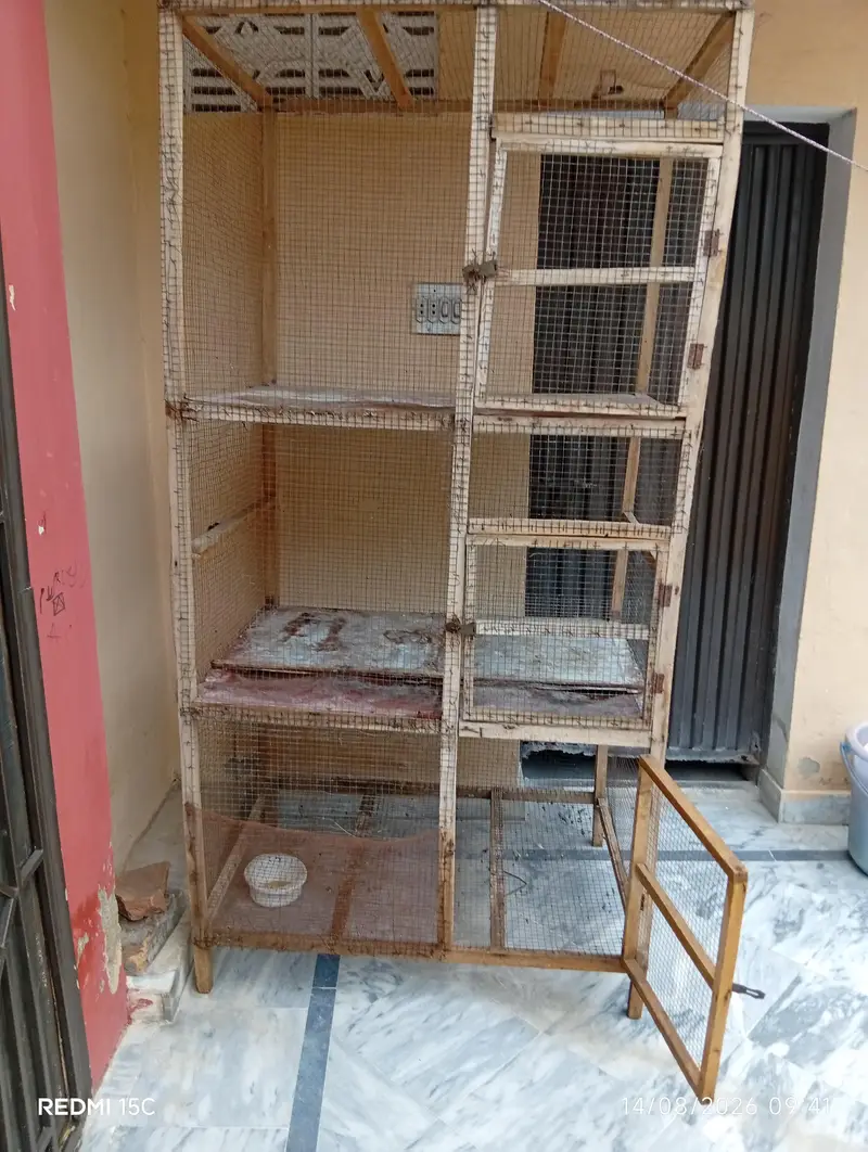 triple story murga cage 0313.7733646 — photo 2