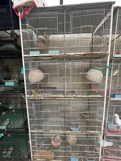 Cage 8 postion