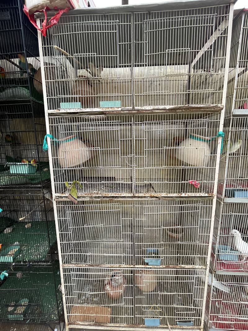 Cage 8 postion 1