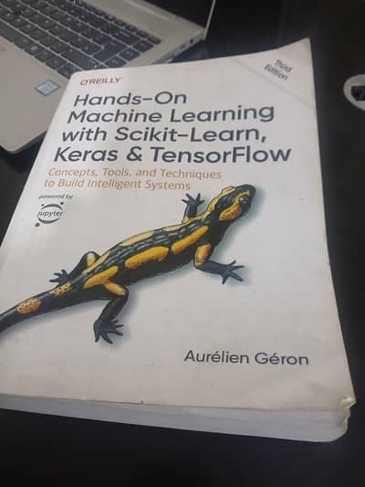 AI & ML Engineer