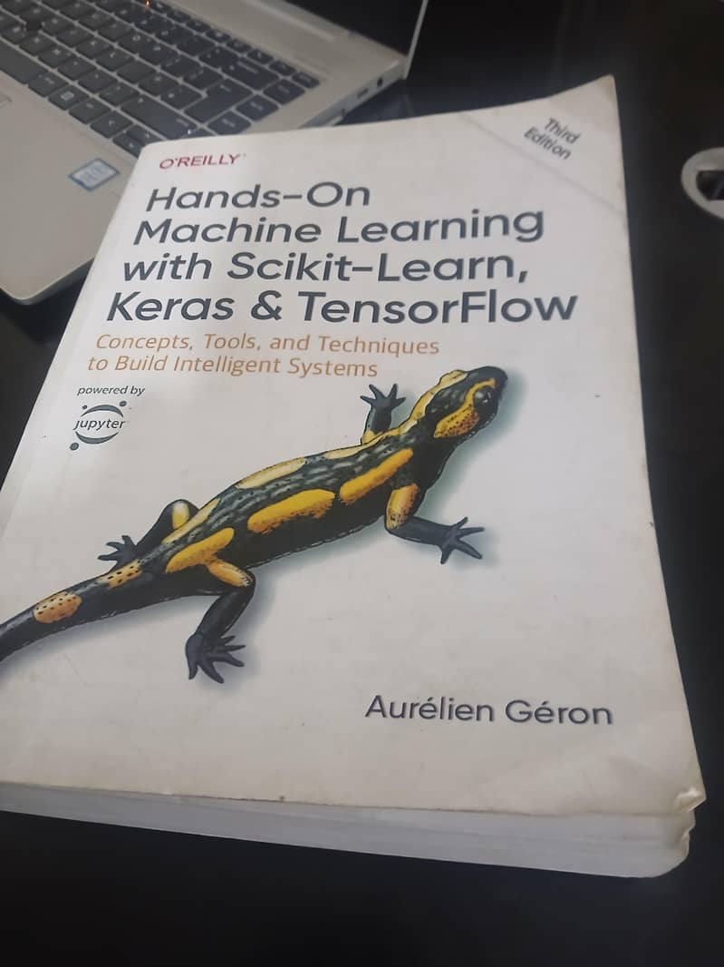 AI & ML Engineer 0
