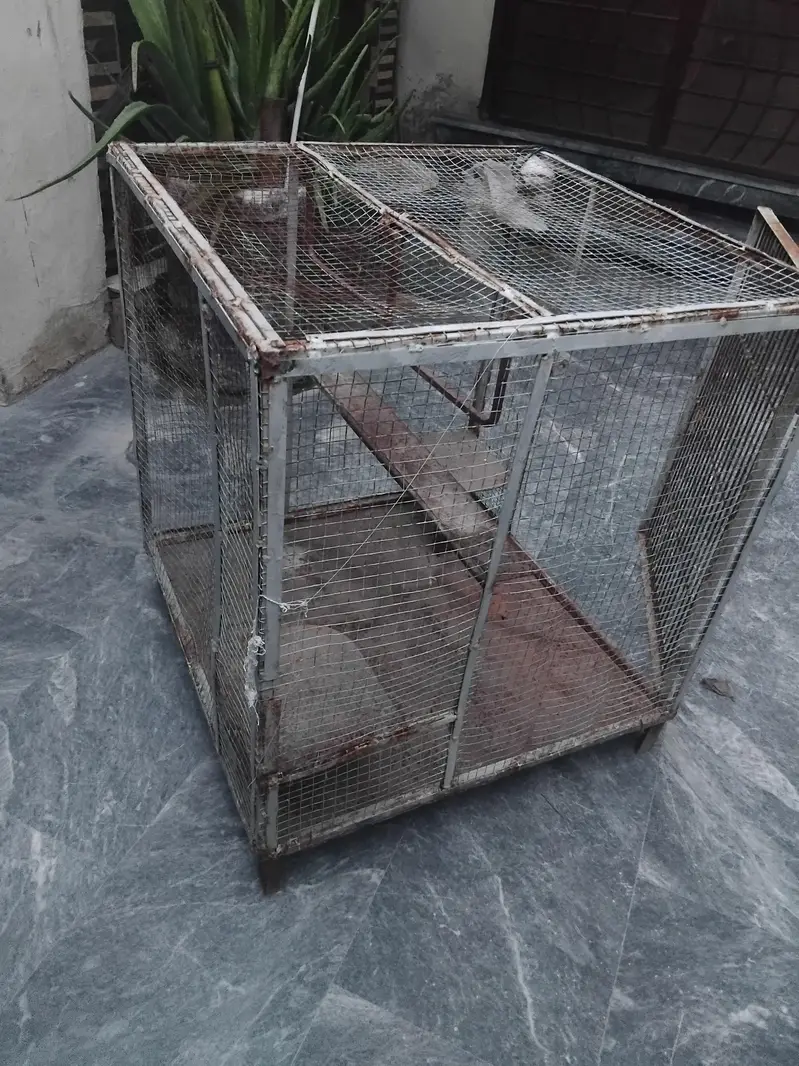 Bird and animal cage — photo 2