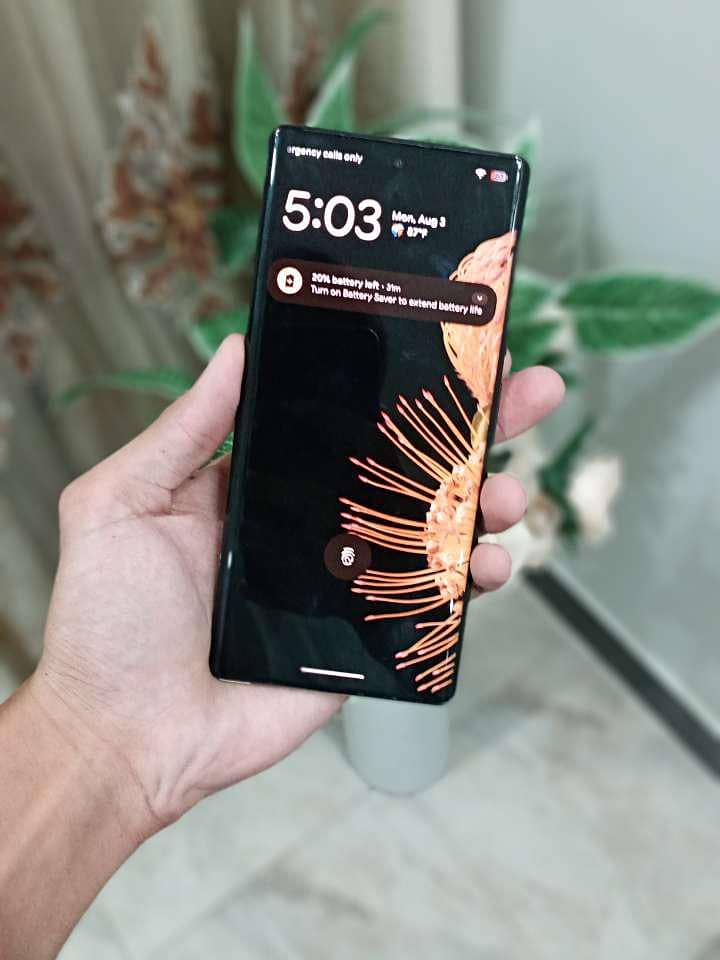 Google Pixel 6 Pro 2