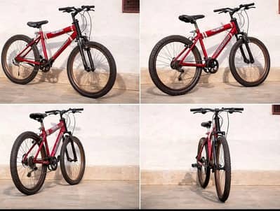 Bicycle