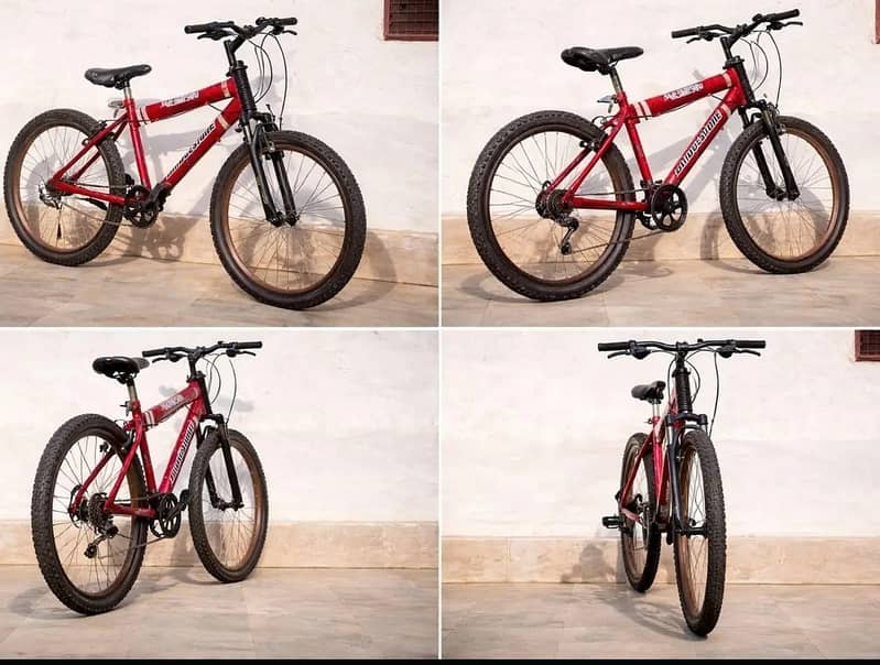 Bicycle 0