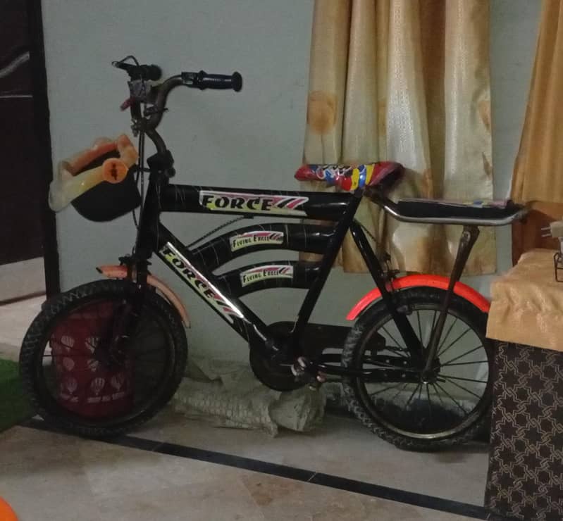 Flying  Eagle Bicycle 1