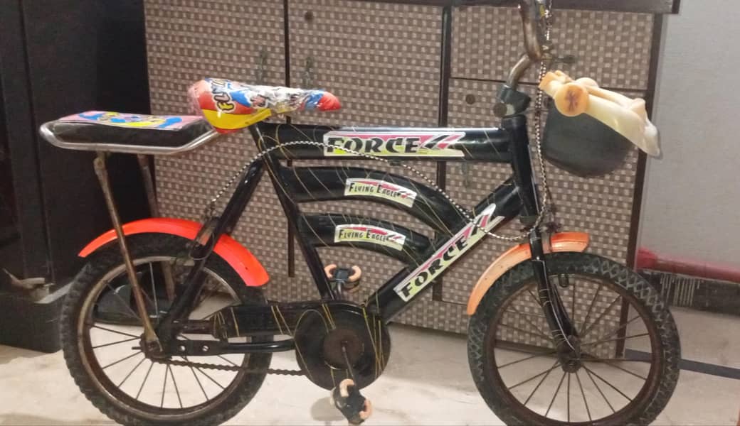 Flying  Eagle Bicycle 2
