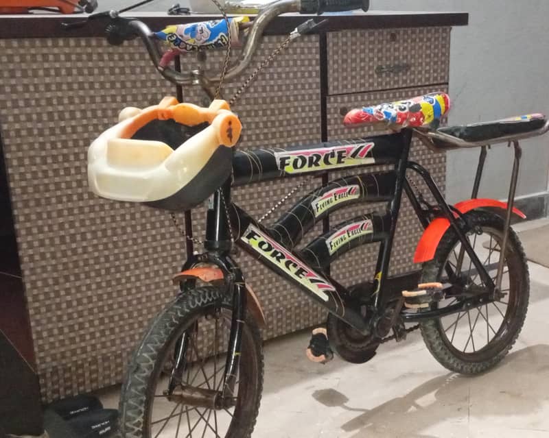 Flying  Eagle Bicycle 3