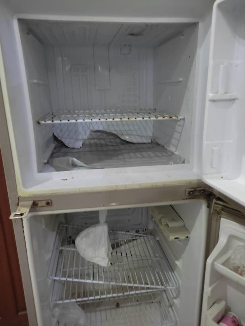 fridge 4