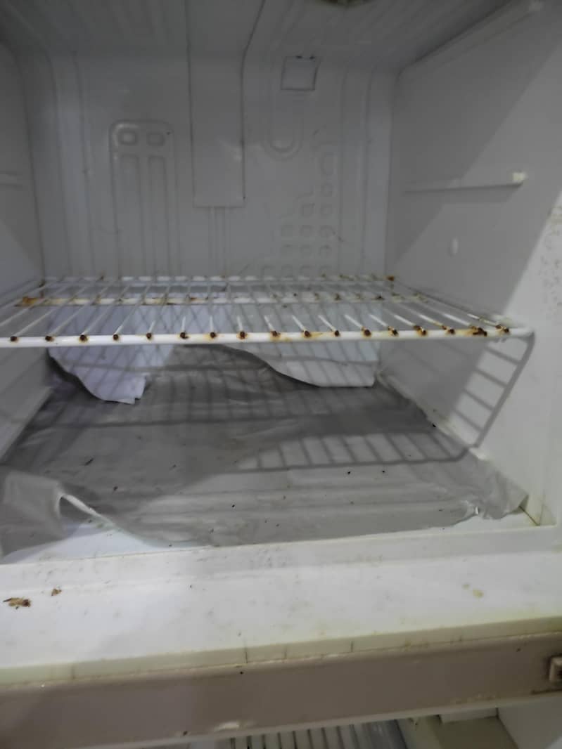 fridge 5