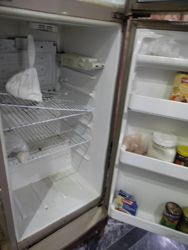fridge 6