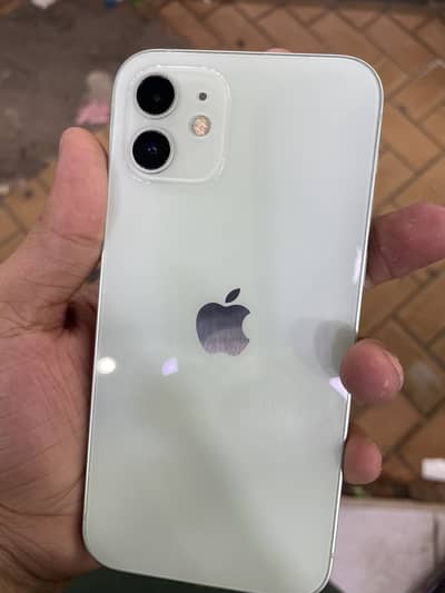 Apple iPhone 12  jv