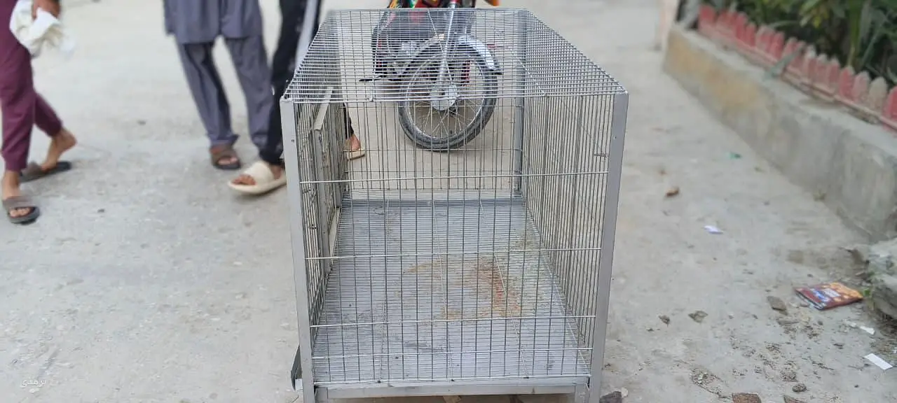 Premium Cage — photo 3