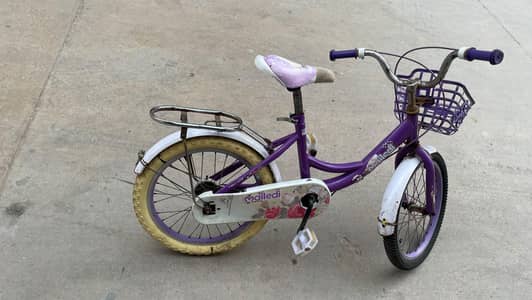 Purple Kids Bicycle – Stylish & Well Maintained 