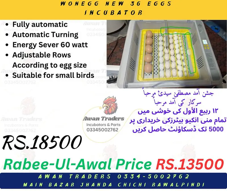 Rabee-ul-Awal discount upto Rs 5000 on HHD, WONEGG & YIWAN incubators — photo 4