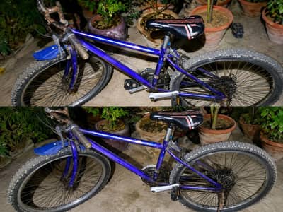 cycle for sale