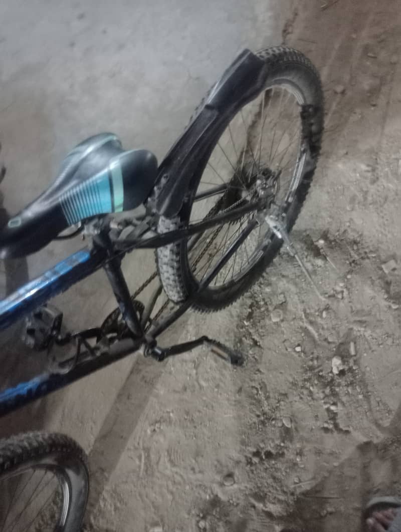 Shimano cycle 2