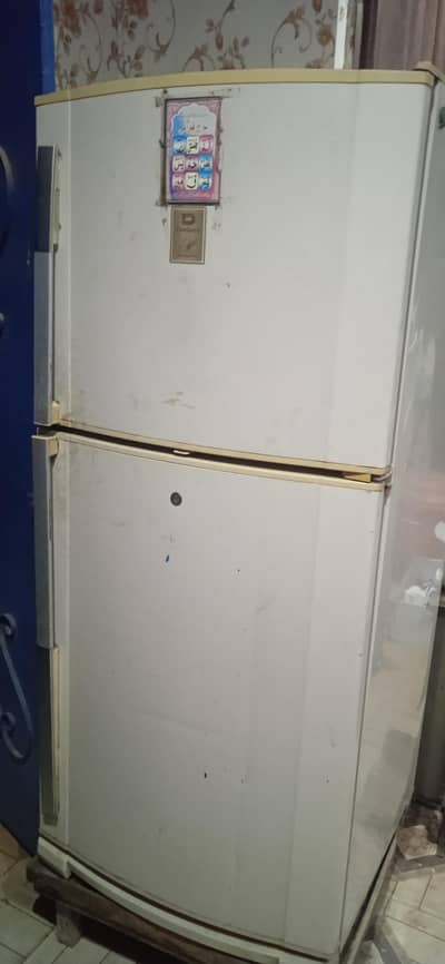 medium size dowlance fridge