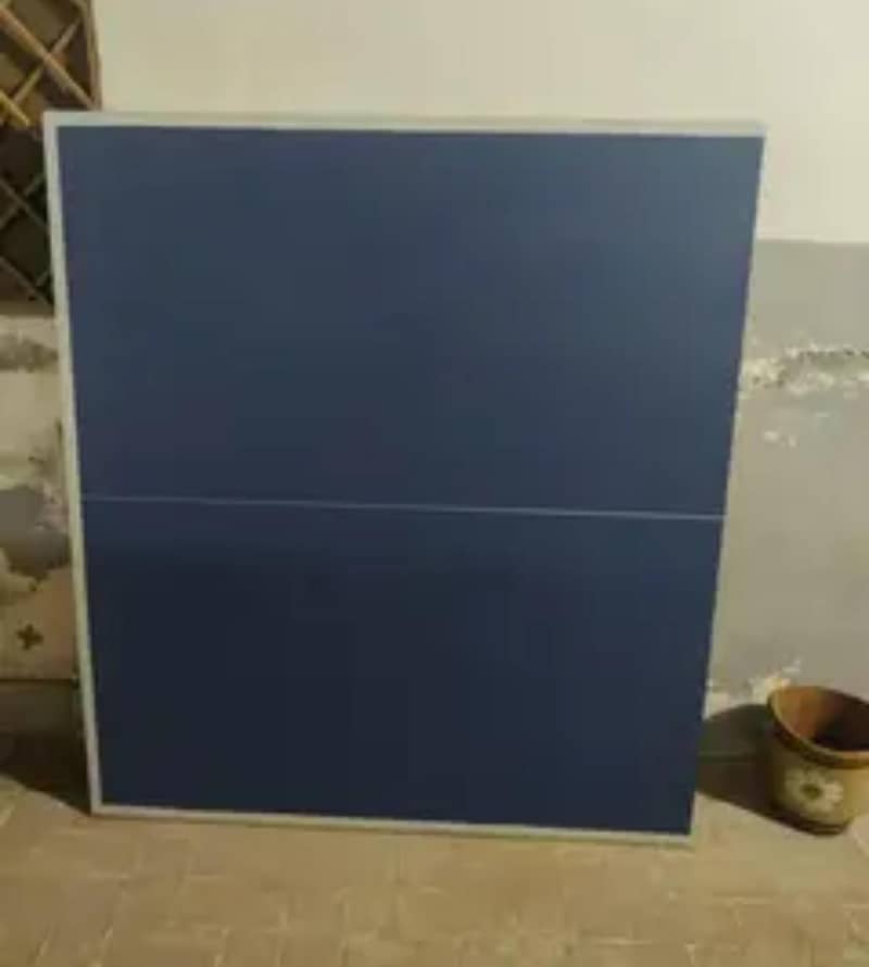 Table Tennis 0