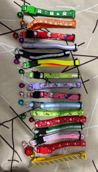 pet accessories