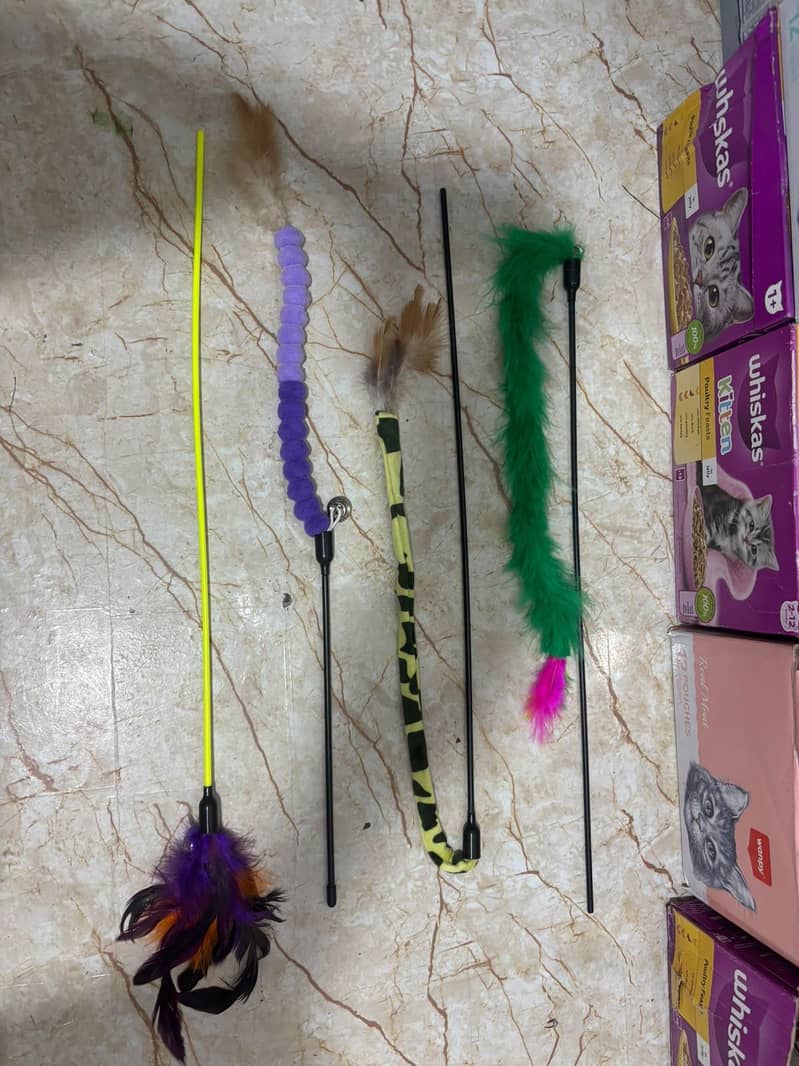 pet accessories 2