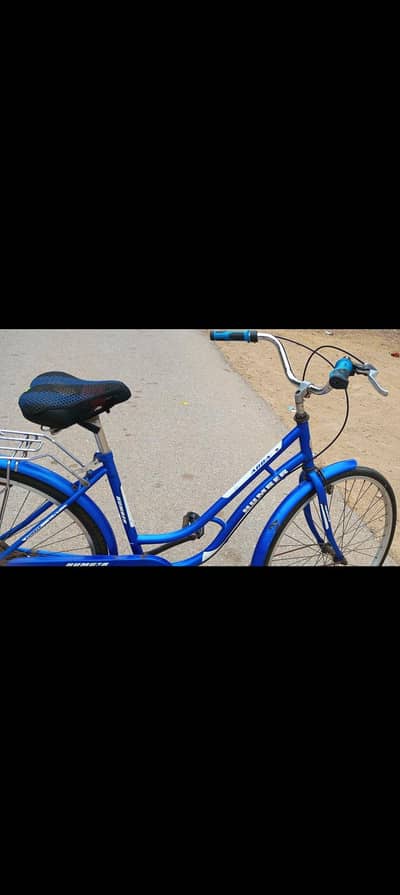 Ladies Bicycle.