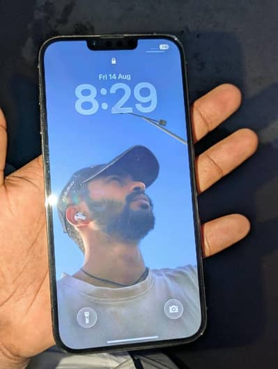 Apple iPhone 13 Pro Max