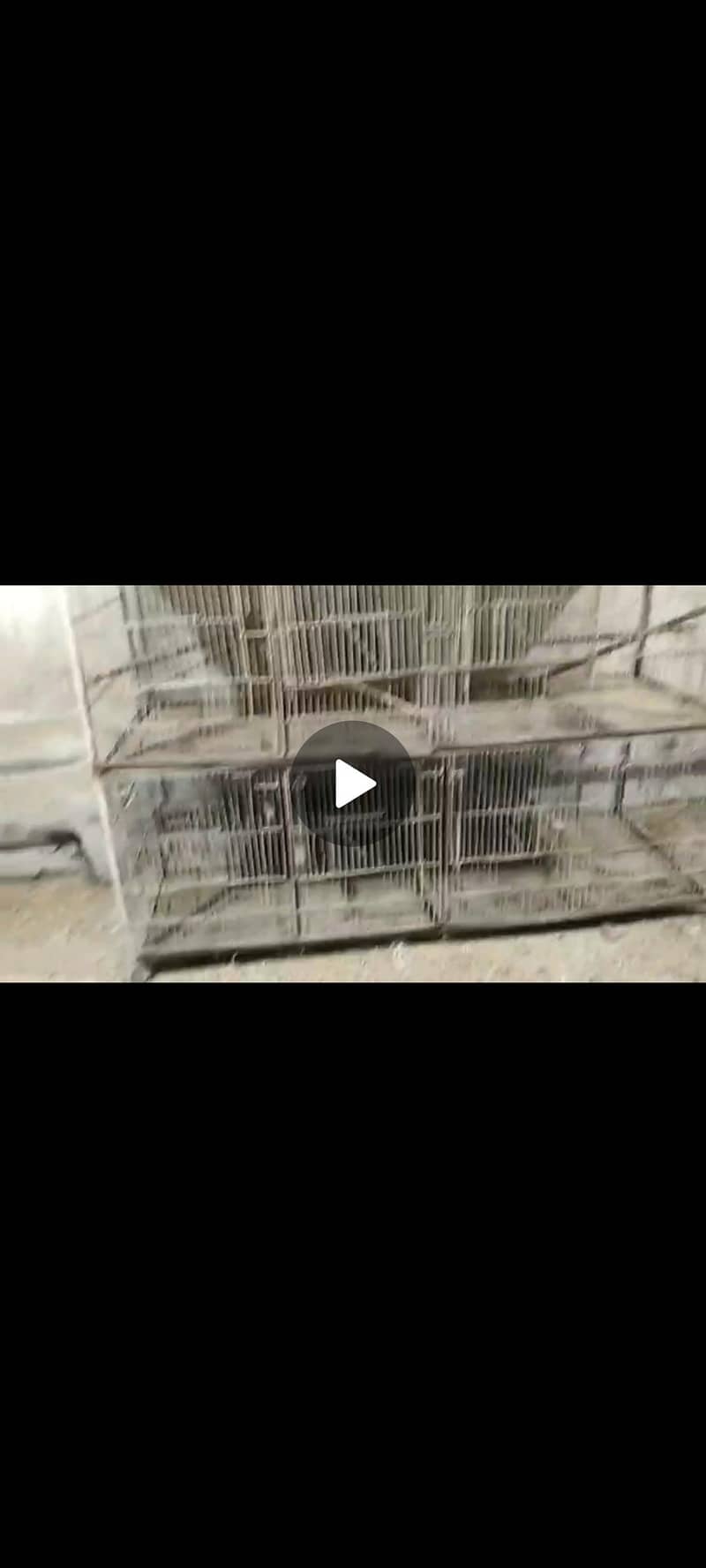 8 portion cage 1
