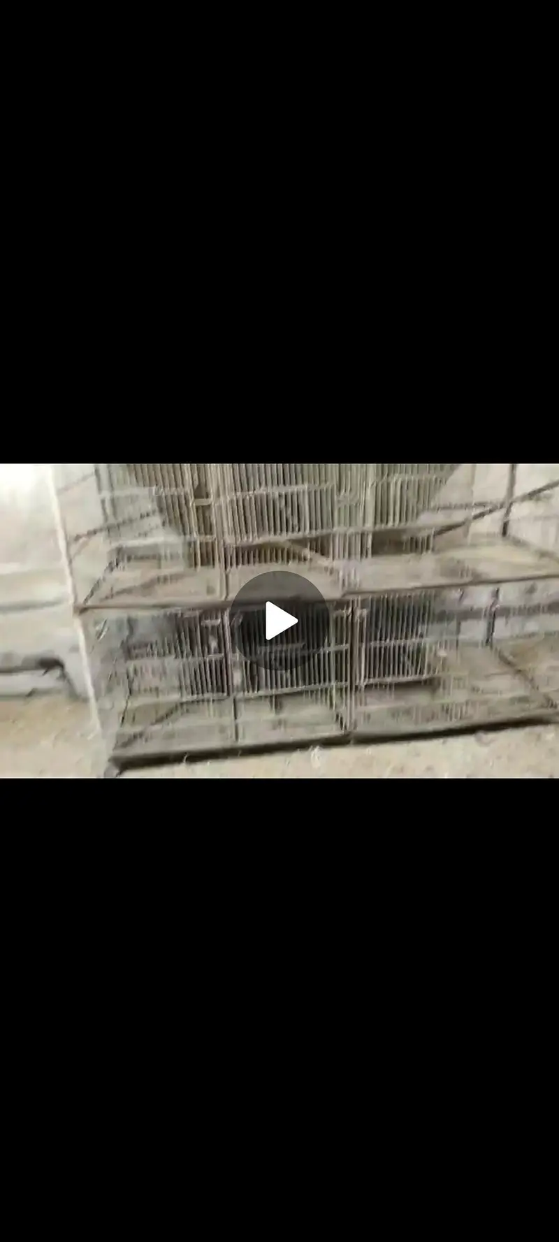 8 portion cage — photo 2