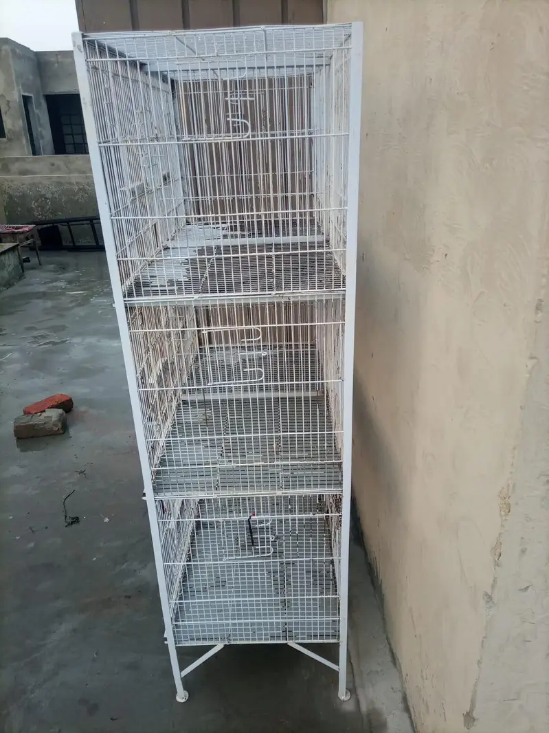 Hen and parrot cages — photo 5