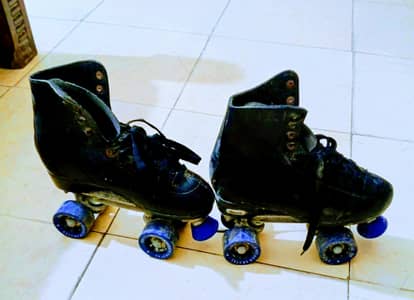 sketing shoes (03124998558)