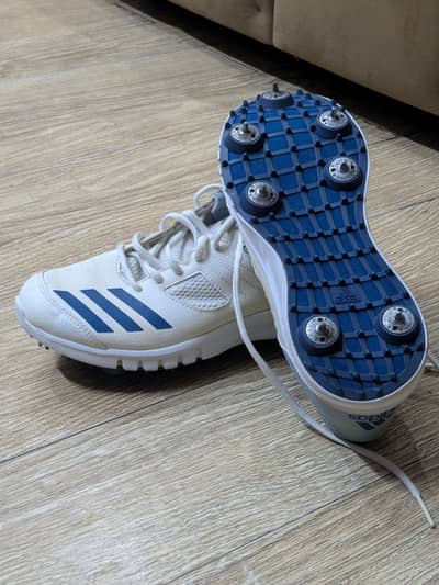 Adidas Howzat Spike cricket shoes