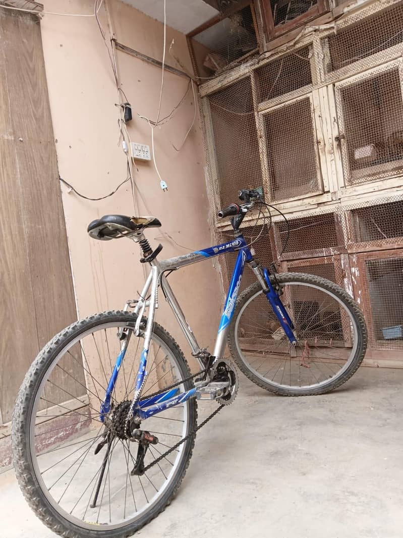 bicycle 2