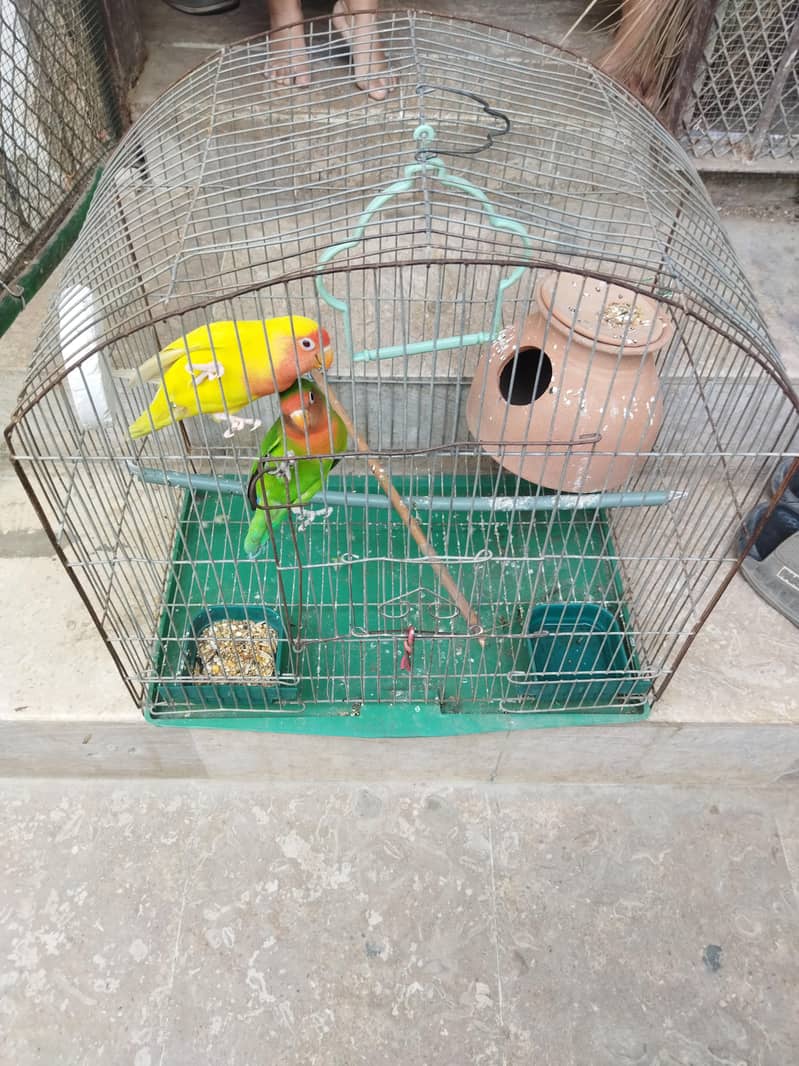 pair with cage 1
