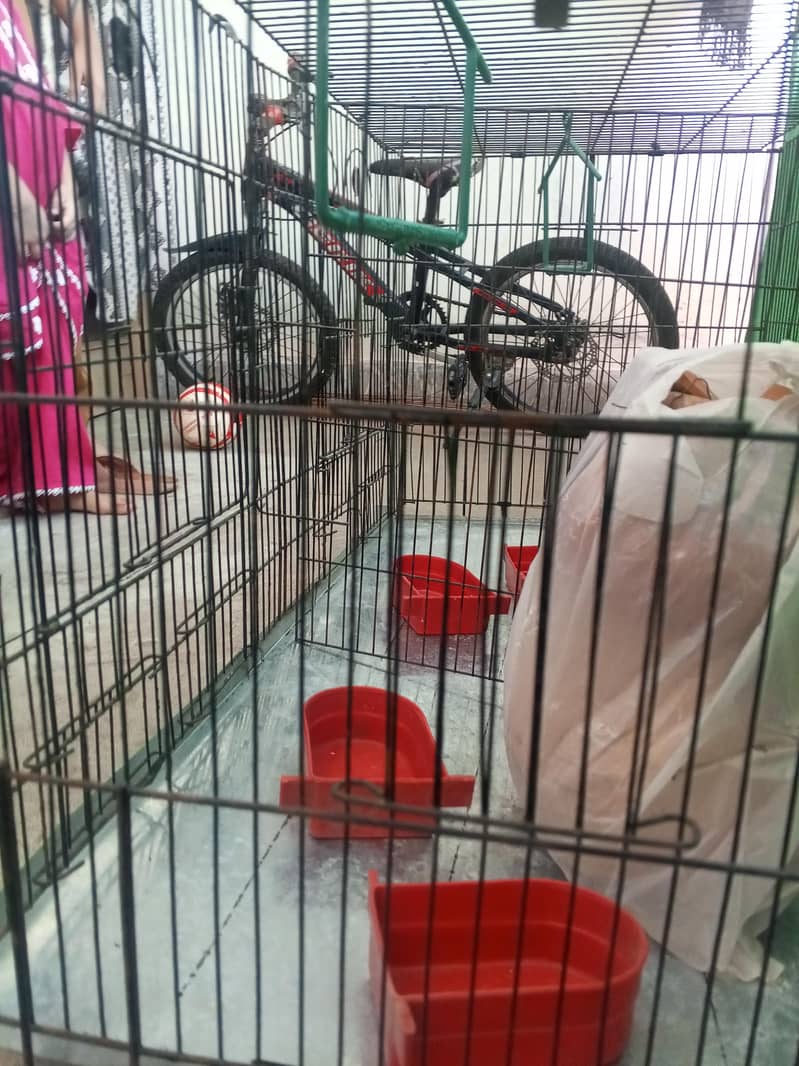 Cages 1