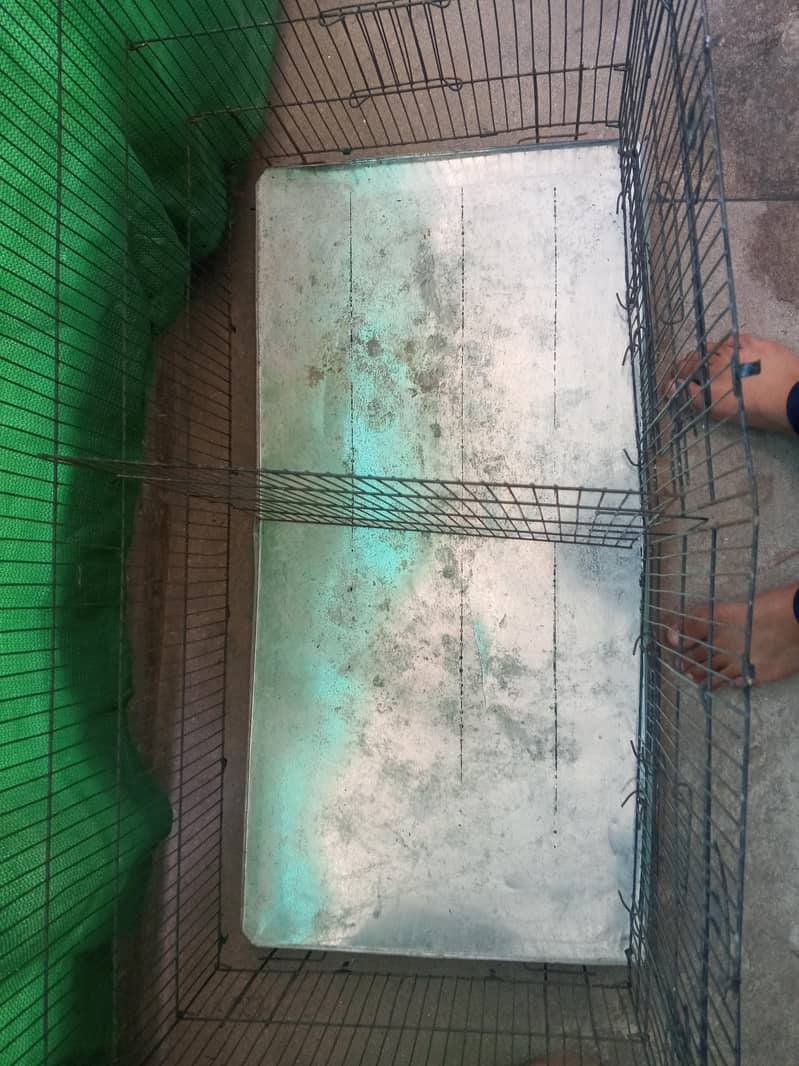Cages 4