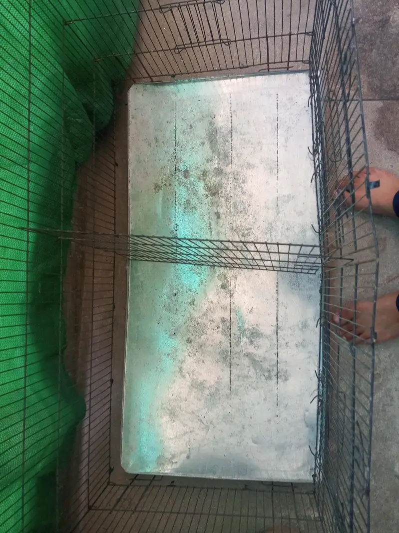 Cages — photo 5