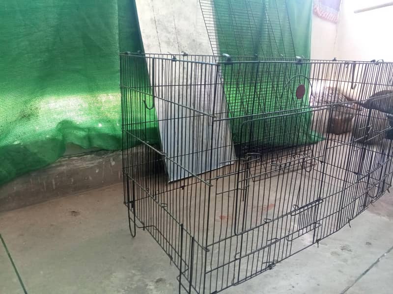Cages 5