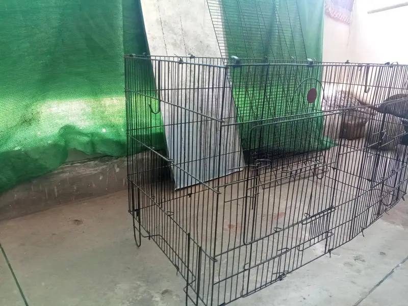 Cages — photo 6