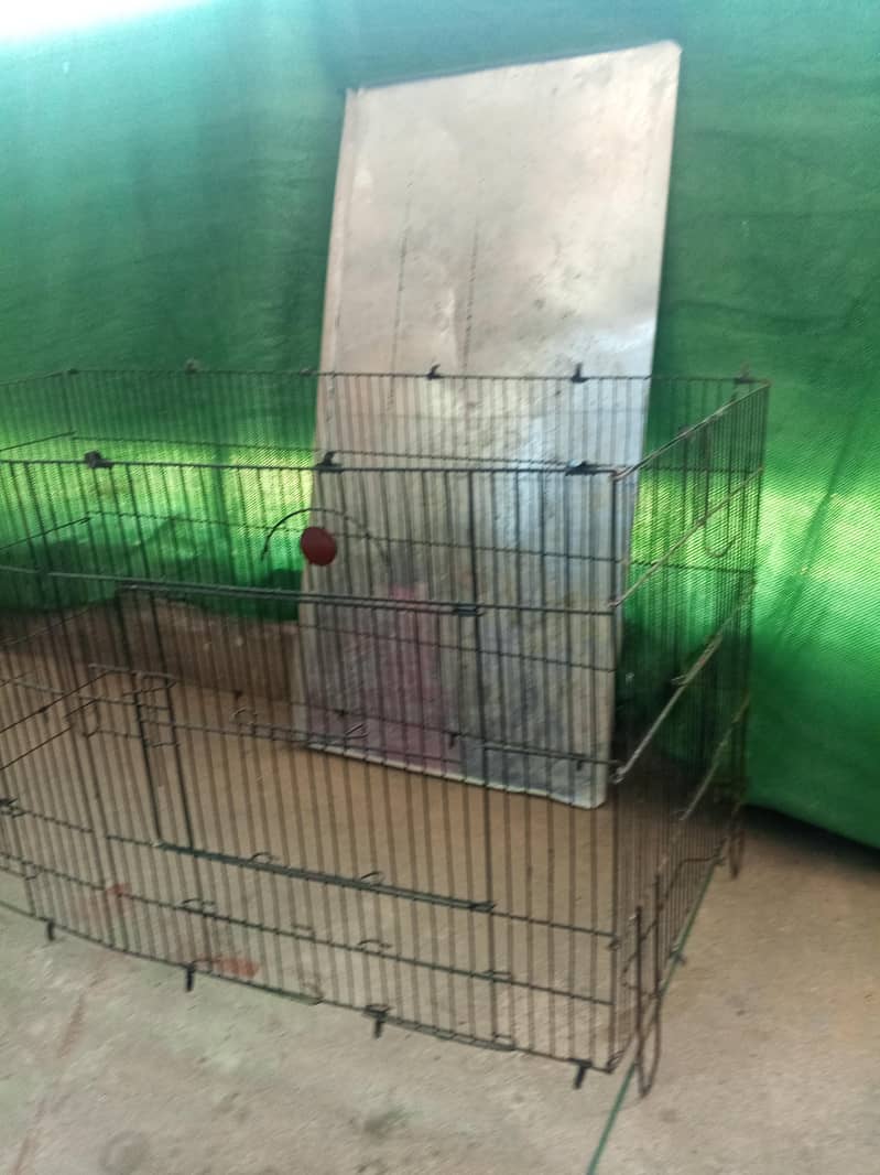 Cages 6