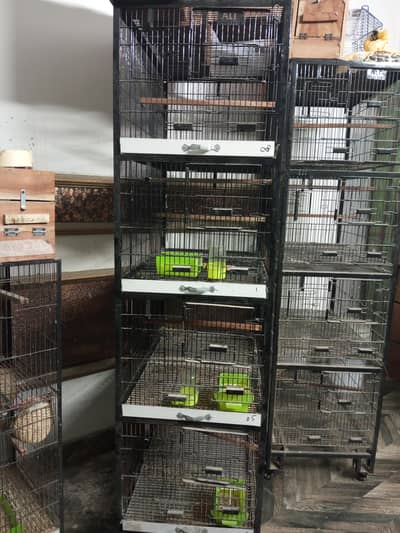 love birds cage 4 portion