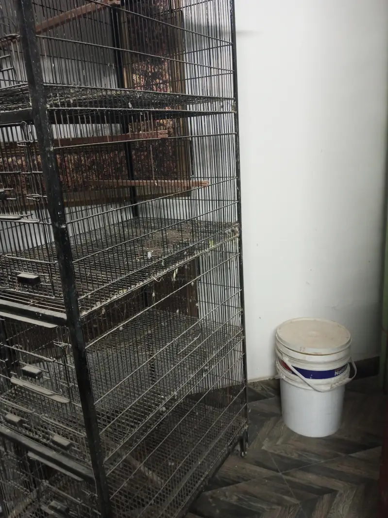 love birds cage 4 portion — photo 3