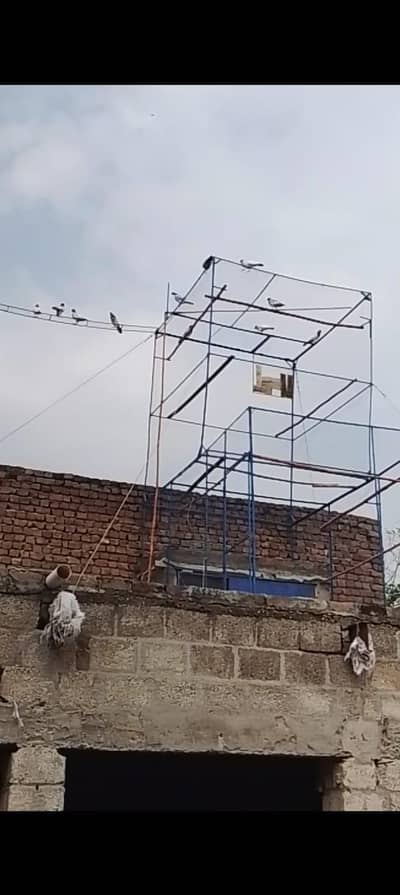 Pigeon Cage for Sale – Kabootar jaal
